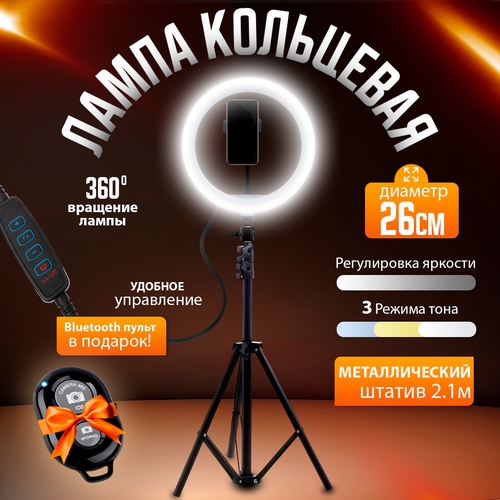 Кольцевая лампа со штативом 26 см, LED (лед) селфи, настольная и напольная, светодиодная, свет (освещение) для съемки фото и видео