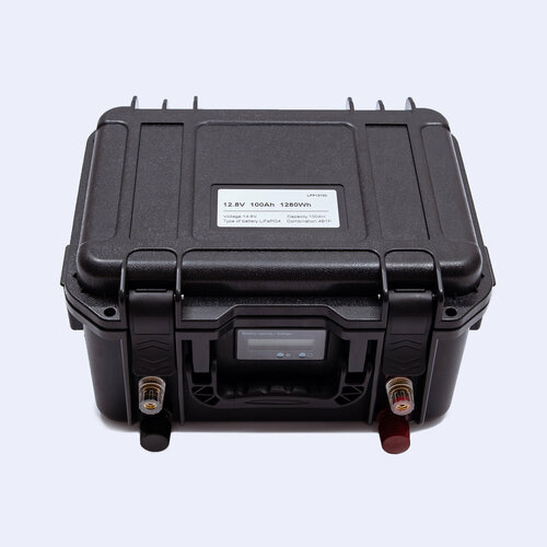 Аккумулятор LifePO4 с зарядным устройством и кулометром 42900₽