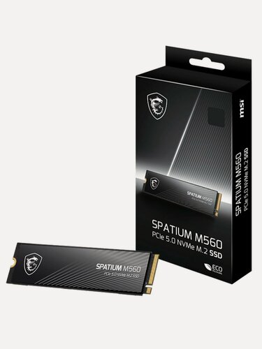 Изображение товара Внутренний SSD диск MSI Spatium M560 1000GB, M.2 (S78-440L0F0-P83)