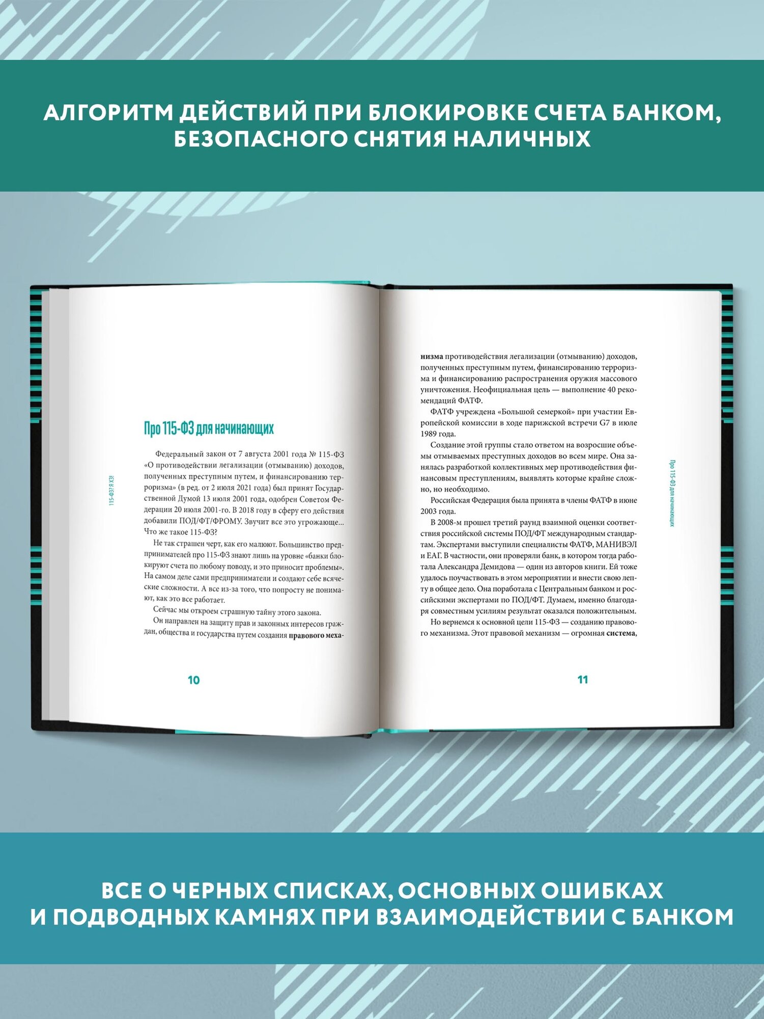 115-ФЗ? Я ХЗ! (Демидова Александра Владимировна, Самитов Марат Рустэмович) - фото №2