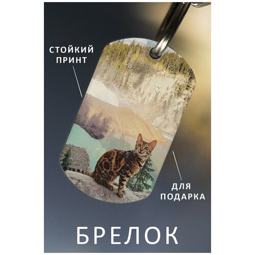 фото Брелок для ключей кот подарок мужчине ребенку женщине, брелок детский женский мужской, подвеска на рюкзак, брелок на сумку животные zhenya cloud