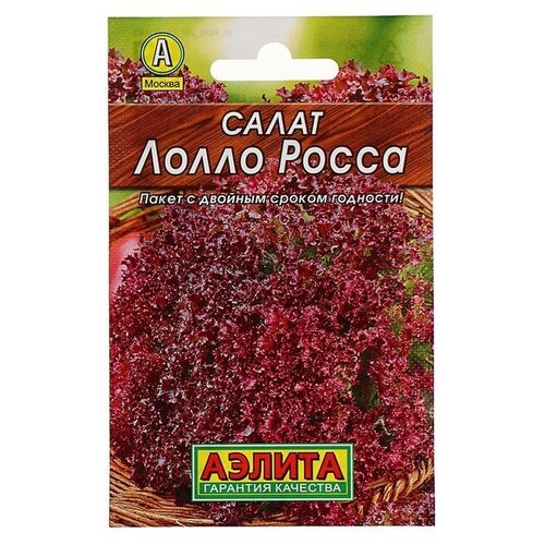 Семена Салат лолло росса ( 1 упаковок * 0,5 г ) салат лолло росса листовой семена