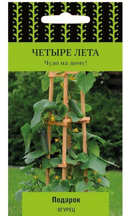 Семена ПОИСК Четыре лета Огурец Подарок F1 5 шт.