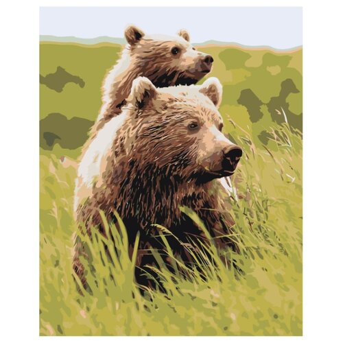 фото Картина по номерам, 40 x 50, z-ab378, "живопись по номерам", набор для раскрашивания, раскраска