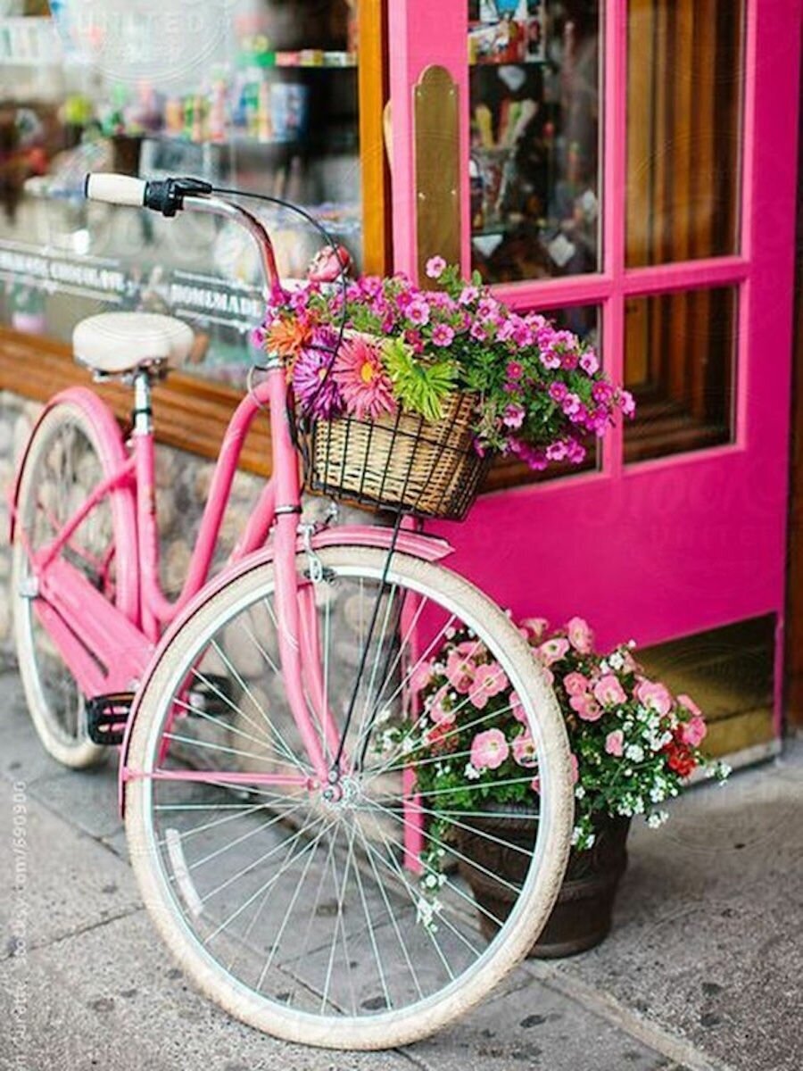 Картина по номерам Велосипед в цветах 40х50 см АртТойс