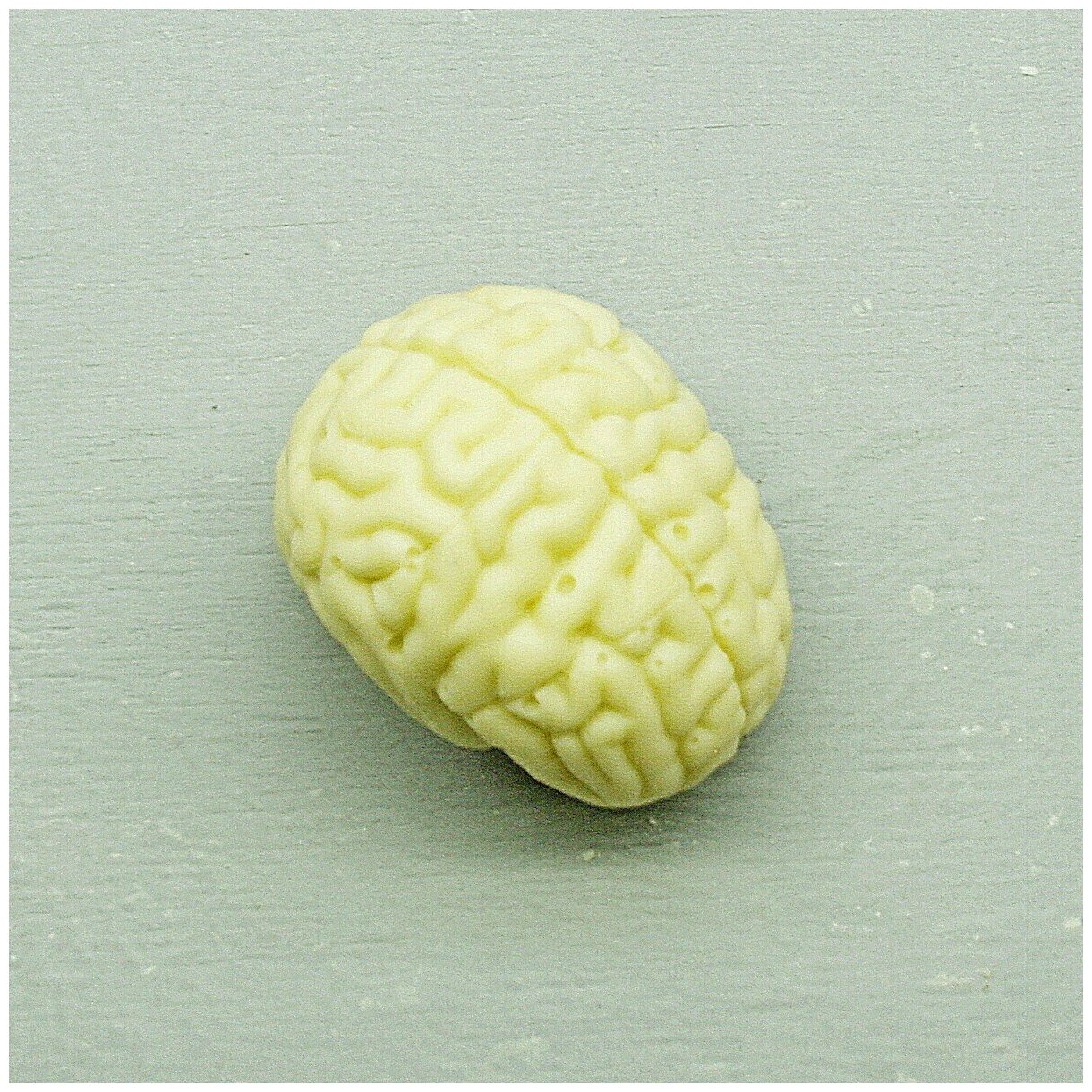 Подарочная шоколадная фигура Frade/Фраде - Мозг (вес-40г) (белый) - фотография № 1