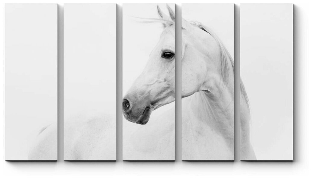 Модульная картина Белая лошадка110x66