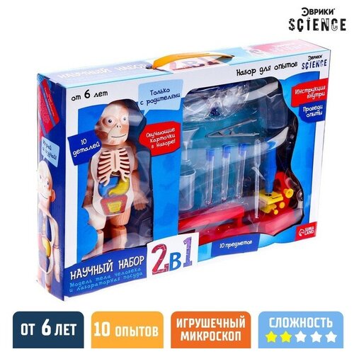 Набор для опытов Научный набор 2В, модель тела человека и лабораторная посуда 1 шт модель человеческого тела анатомическая кукла модель φ кукла с внутренними органы развивающая мягкая игрушка
