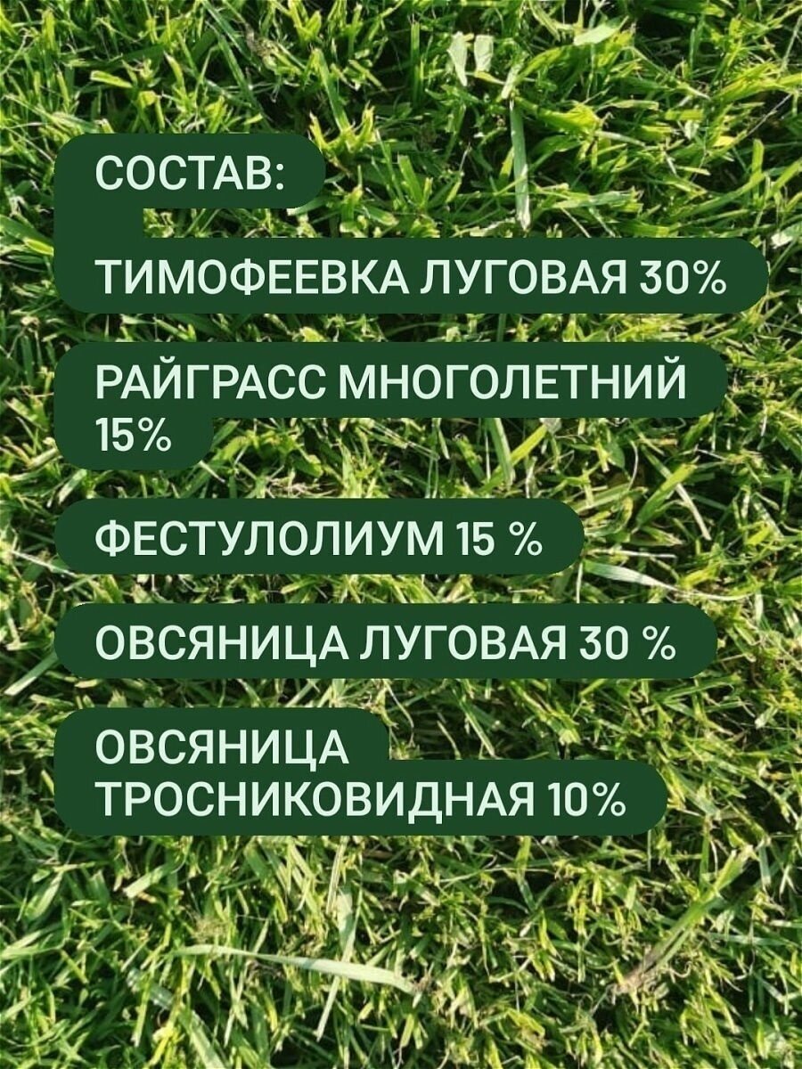 Газоннаяесь "Универсальная"/Семена газона/трава/Газон грунт для растений