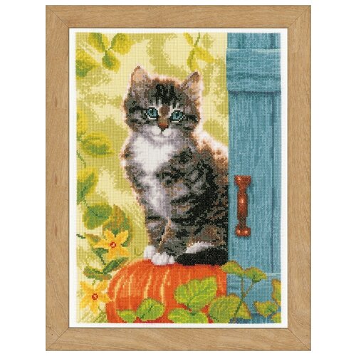фото Набор для вышивания vervaco pn-0158303 кошка и тыква