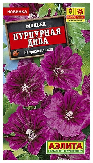 Мальва 