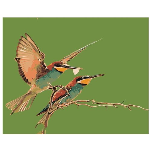 Птицы Раскраска картина по номерам на холсте птицы раскраска картина по номерам на холсте