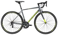 Шоссейный велосипед Silverback Strela Comp (2019) anchor grey/aston black/peridot lime XXS (155-162)