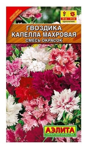 Набор семян Агрофирма АЭЛИТА Гвоздика Капелла махровая китайская смесь окрасок 0.5 г