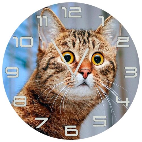 фото Настенные часы svs 3002513