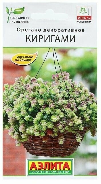 Семена Цветов Орегано декоративное 