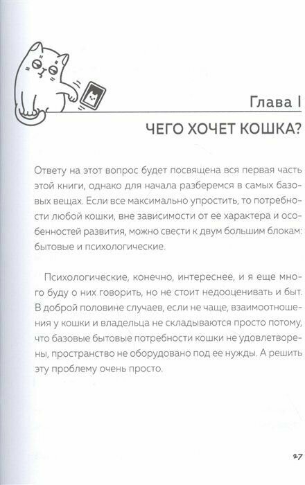 Кот в доме хозяин! Как понять своего питомца, подружиться и не навредить - фото №18