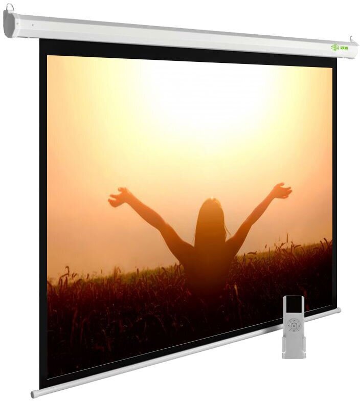 Экран Cactus 165x220см MotoExpert CS-PSME-220x165-WT 4:3 настенно-потолочный рулонный белый (моторизованный привод)