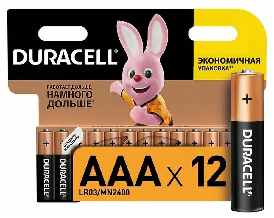 Батарейки DURACELL BASIC ААA/LR03-12BL