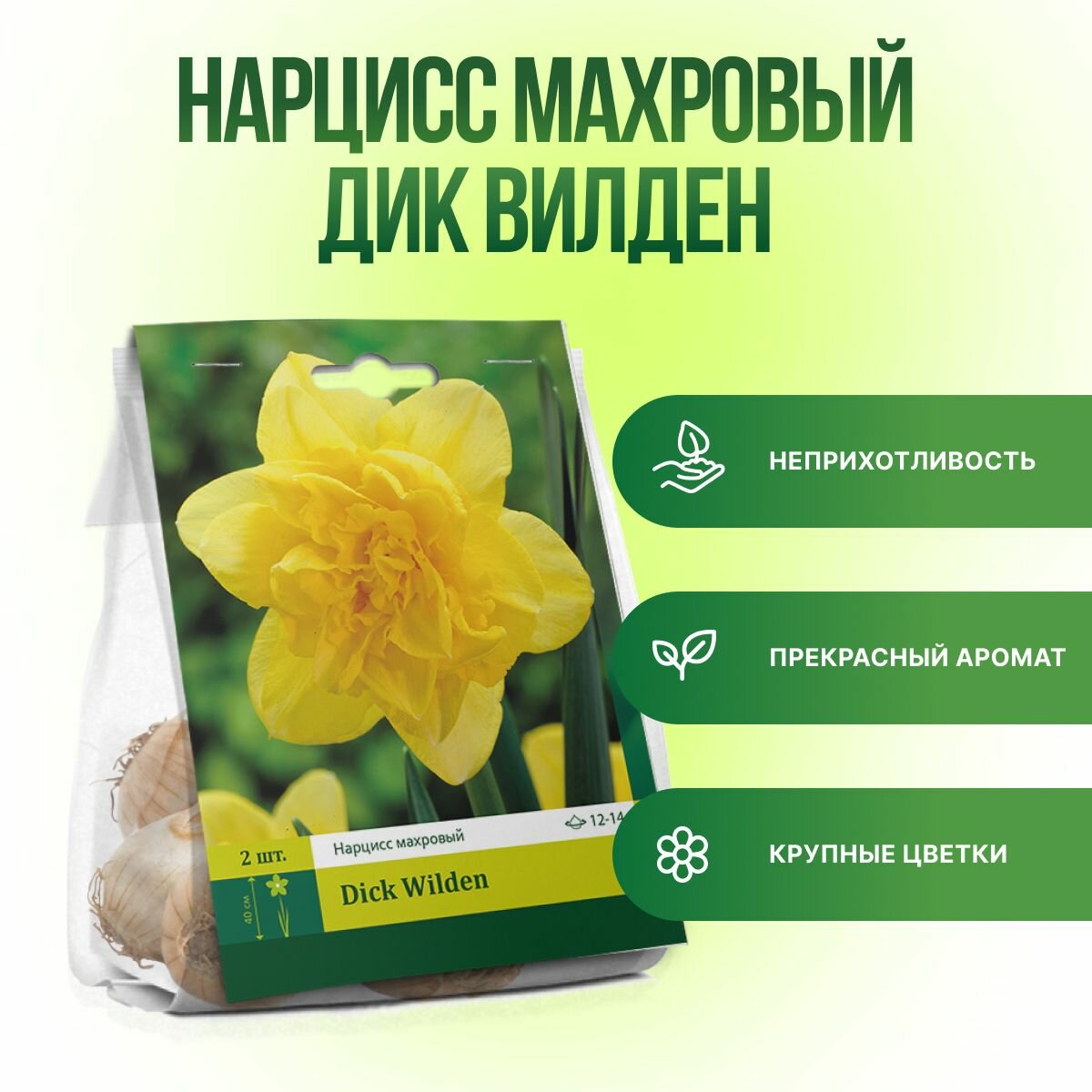 Нарцисс Дик Вилден махровый (2шт) луковицы нарциссов многолетние