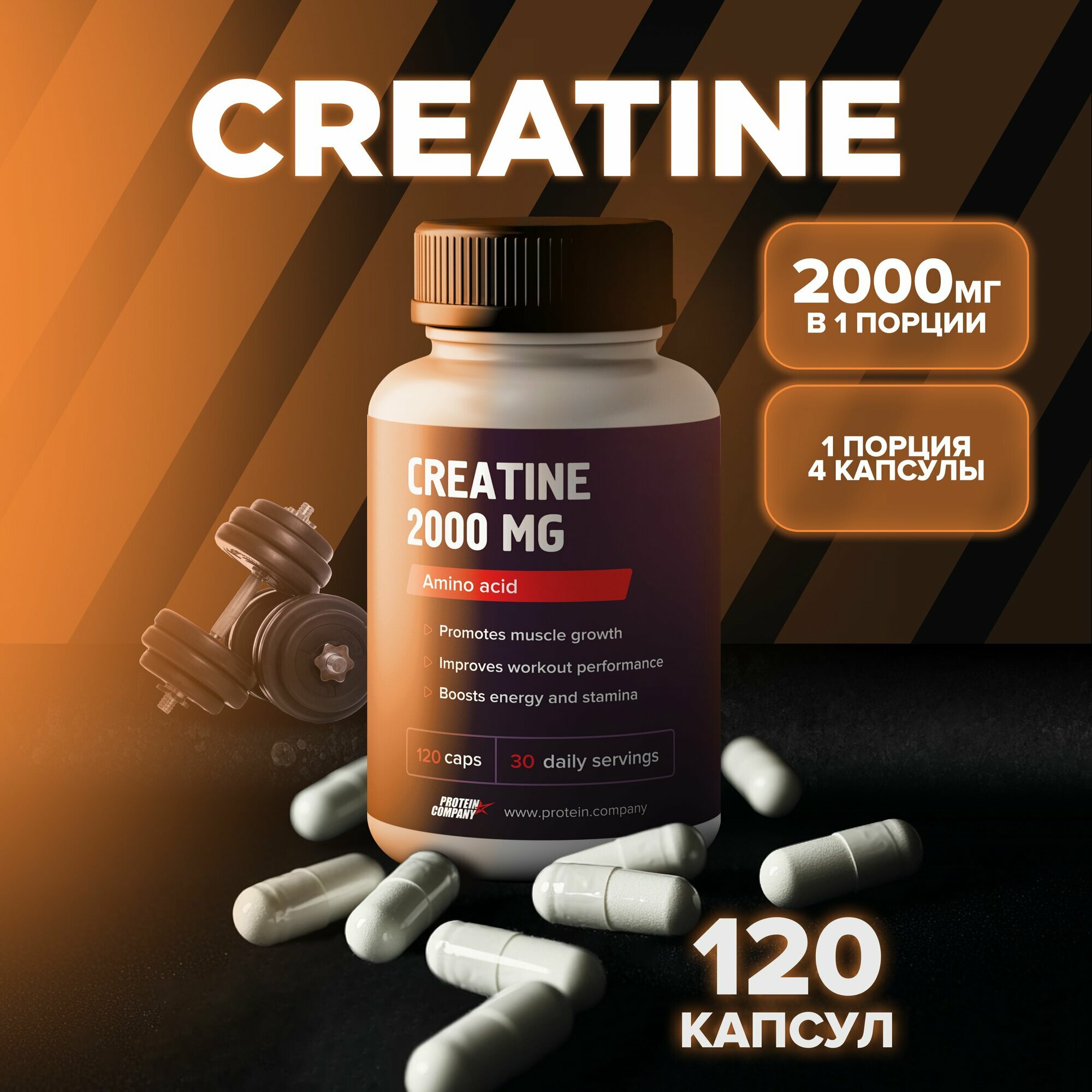 Креатин Моногидрат 2000 мг PROTEIN COMPANY, для набора мышц и выносливости, 120 капсул