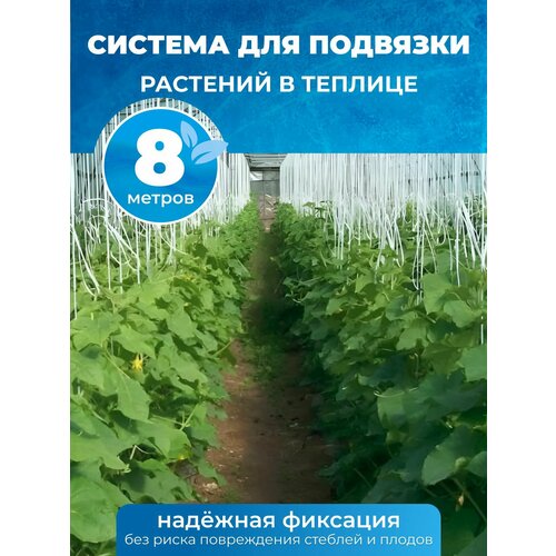 Система для подвязки растений в теплице 8м серебристый