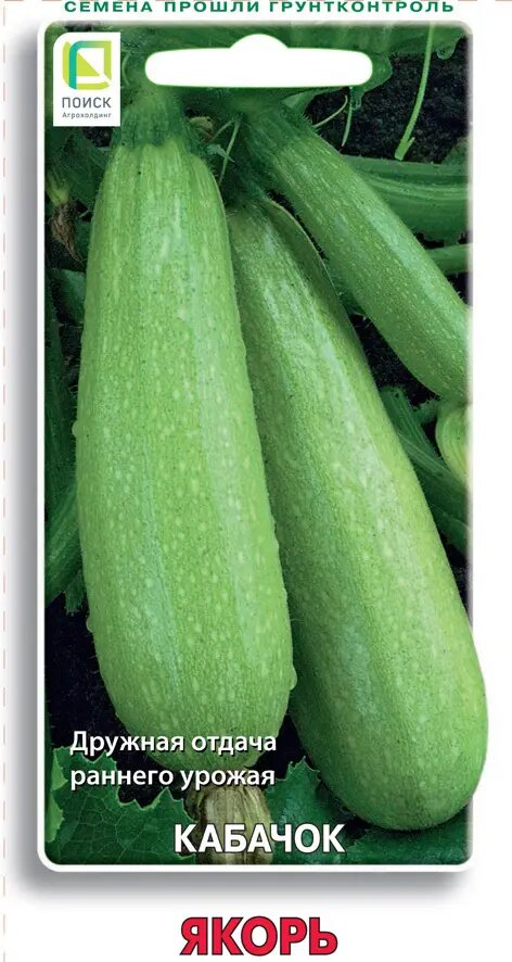 Семена овощей Поиск кабачок Якорь 12 шт.