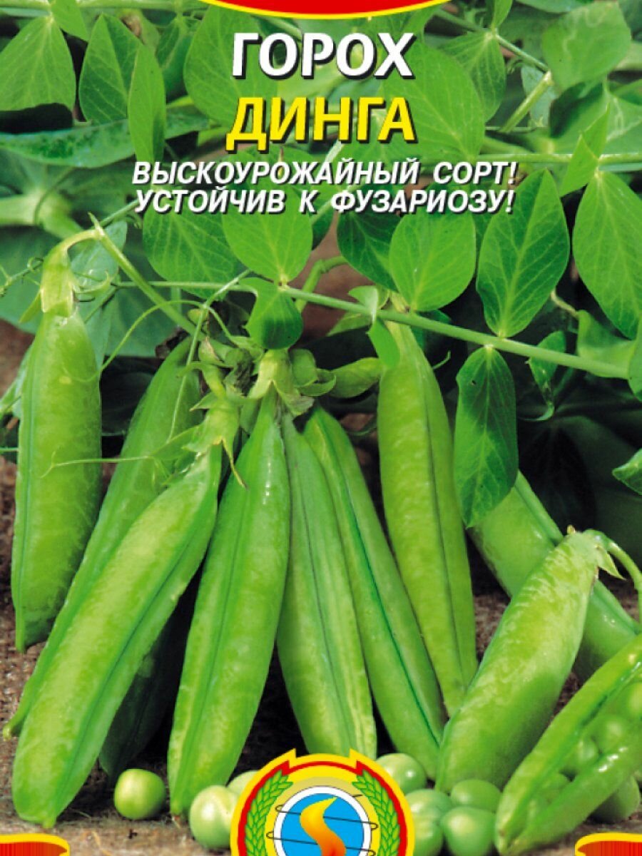Горох Динга 8 г Плазменные семена