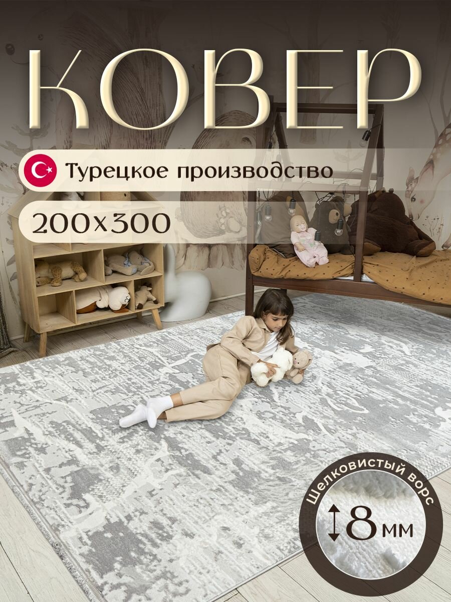 Ковер для комнаты на пол 200х300 см BARKS