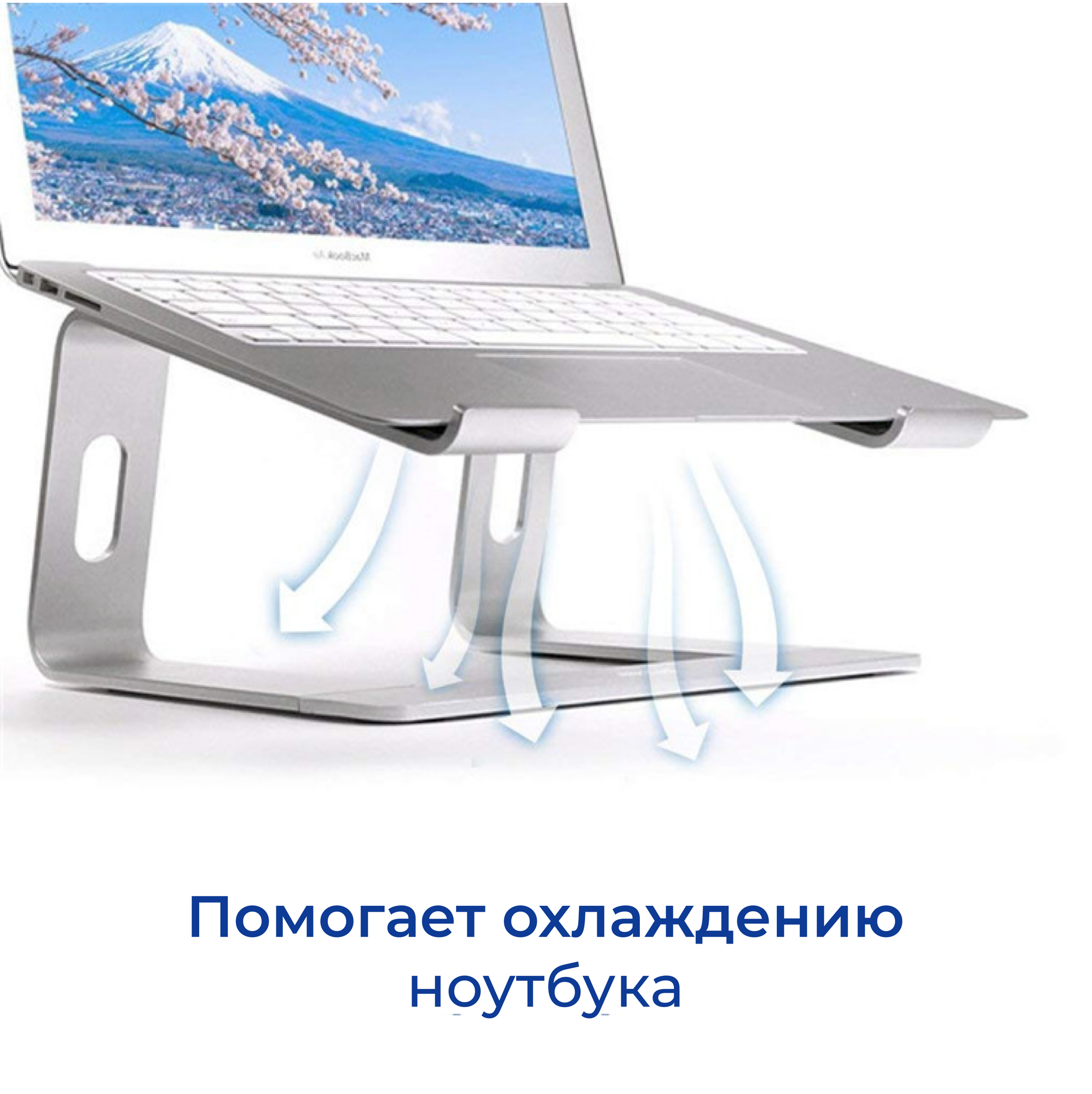 Подставка для ноутбука Evolution - фото №7