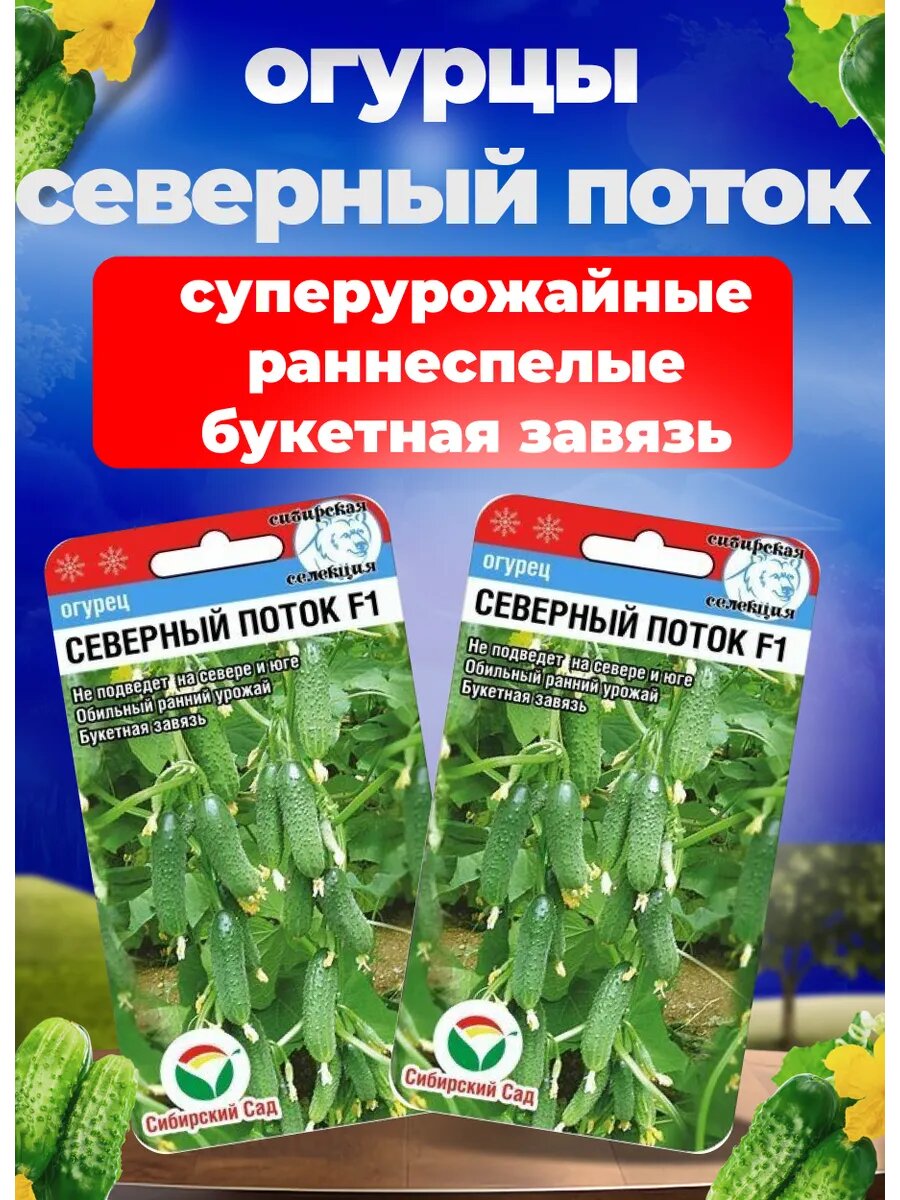 Огурец Северный поток семена 2 пакета по 7 шт