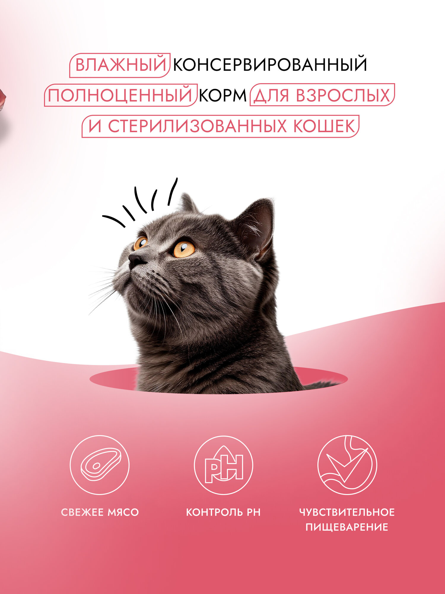Корм влажный для стерилизованных кошек Бест Диннер (Best Dinner) волокна в желе Индейка с тунцом (6шт*75гр) — фото 1