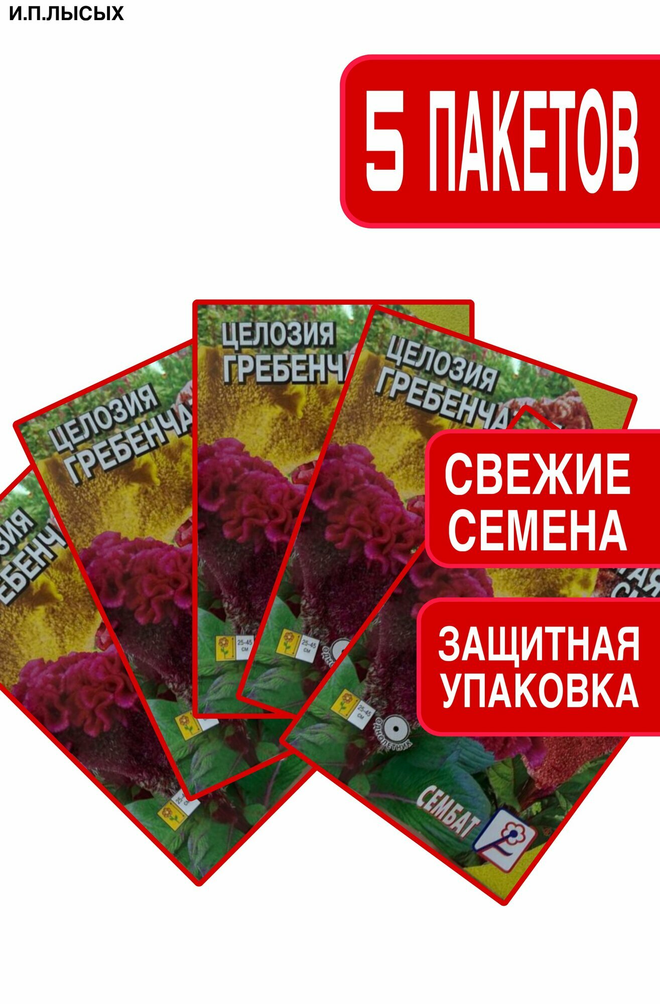 Семена Целозия 