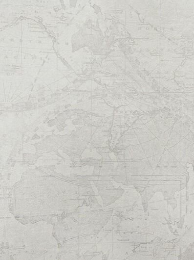 Обои флизелиновые 1.06 м Alessandro Allori Esotiche виниловые метровые ( горячее тиснение моющиеся ) 1.06м х 1005м RFE1610-1