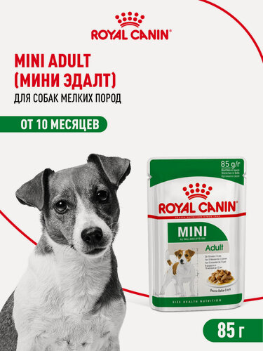 Изображение товара Влажный корм для собак Royal Canin Mini Adult для мелких пород, кусочки в соусе, 28 шт по 85 г