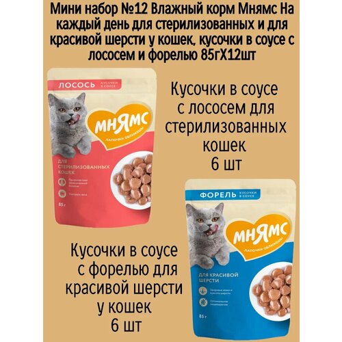 Мини набор №12 Влажный корм Мнямс для стерилизованных кошек, кусочки в соусе с лососем и форелью, 12 шт х 85 гр