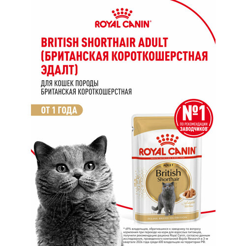 Влажный корм для кошек Royal Canin Adult для британской породы кусочки в соусе, 28 шт по 85 г