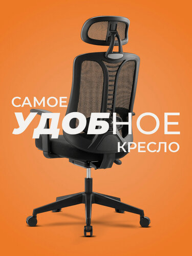 Изображение товара Компьютерное кресло для офиса и дома , ортопедическое кресло, регулировка поясничной опоры и высоты подлокотников , механизм качания , 4 угла наклона , 2D подголовник , TRAUMSESSEL RT-2 , черный , нагрузка до 150 кг