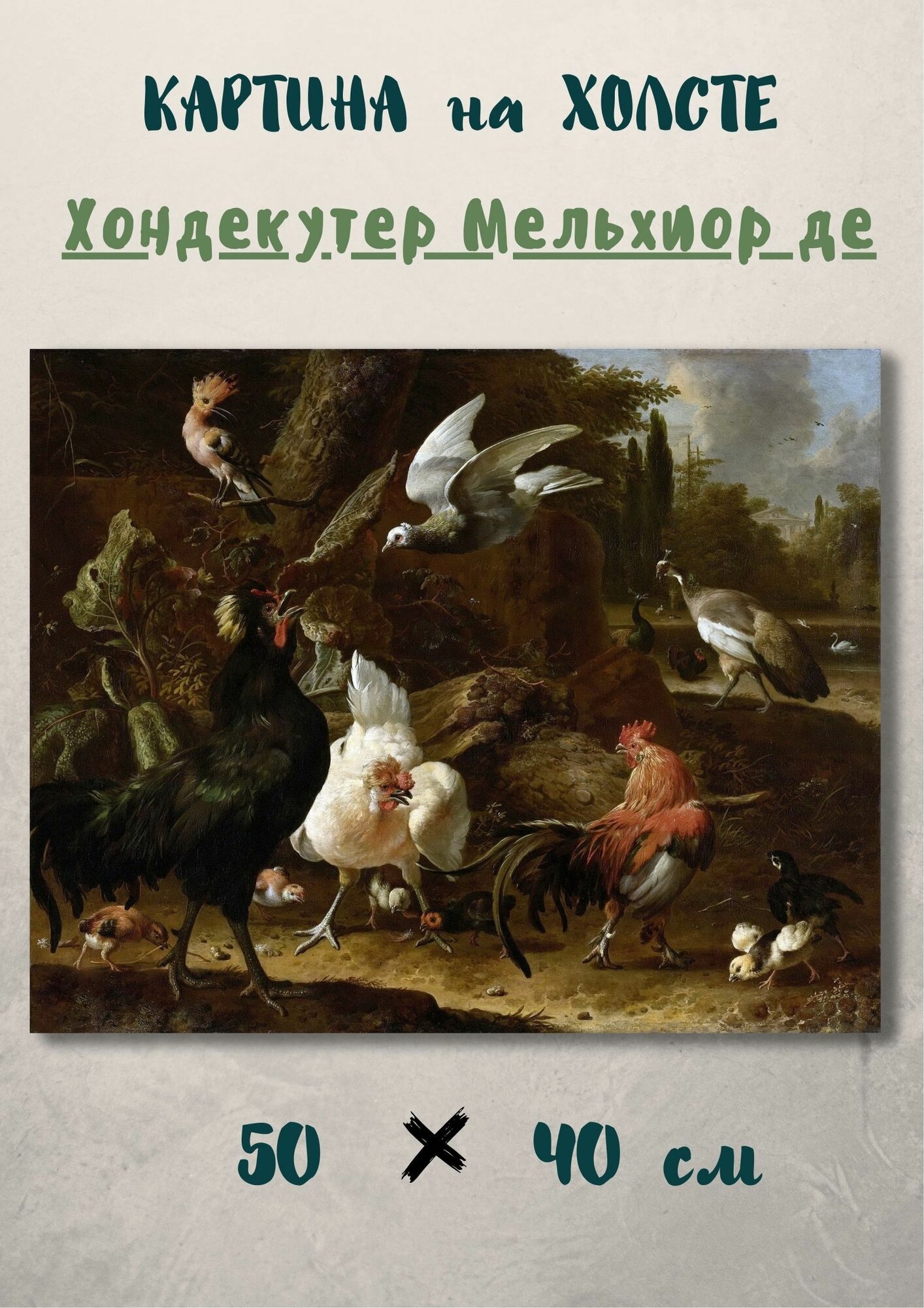 Хондекутер Мельхиор де "Птицы в парке". Картина 50х40