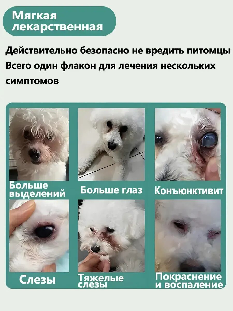 Картинки Капли от катаракты для Собаки кошки，20мл