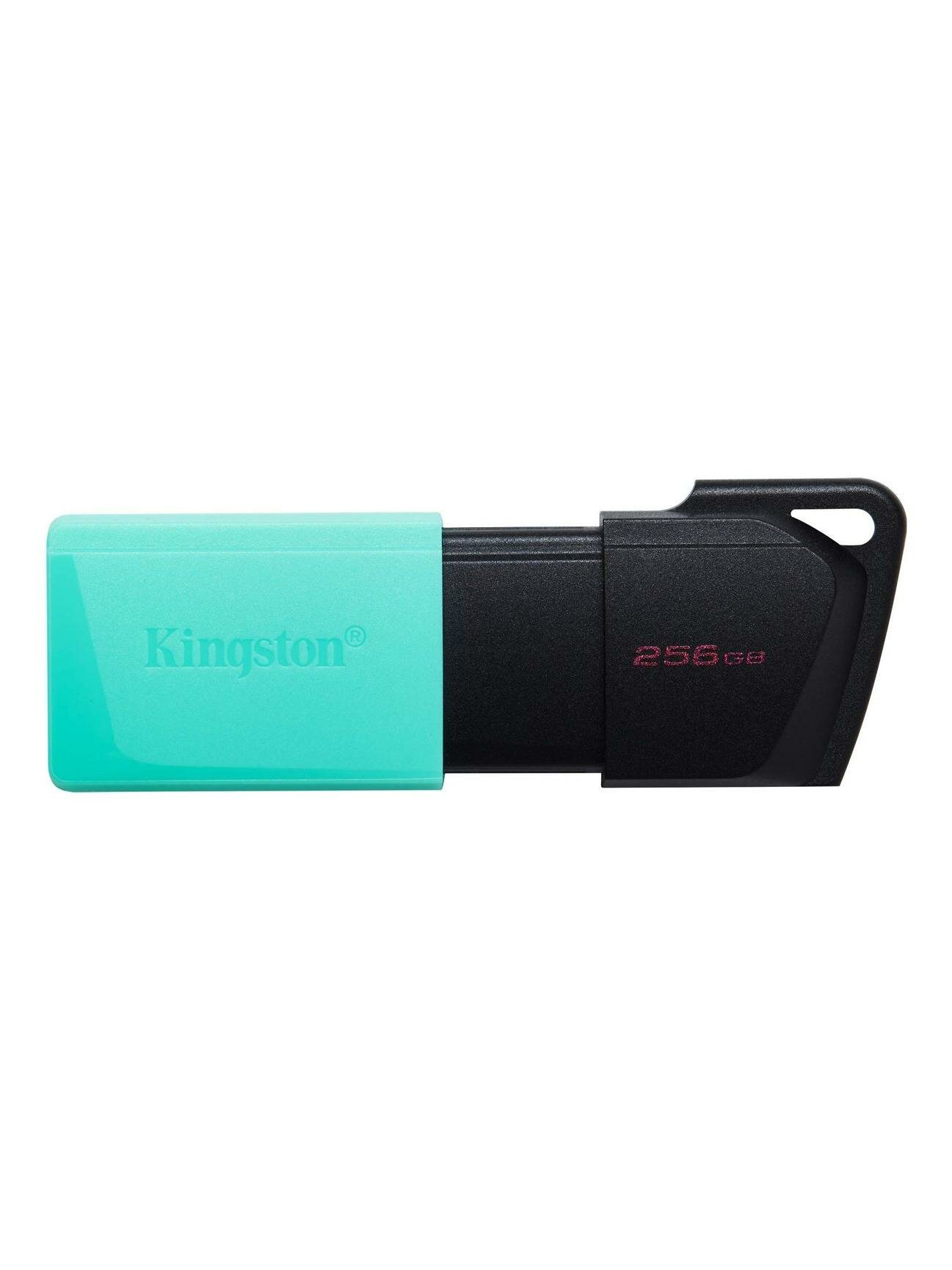 Флеш-диск Kingston DataTraveler Exodia M 256GB (DTXM/256GB)