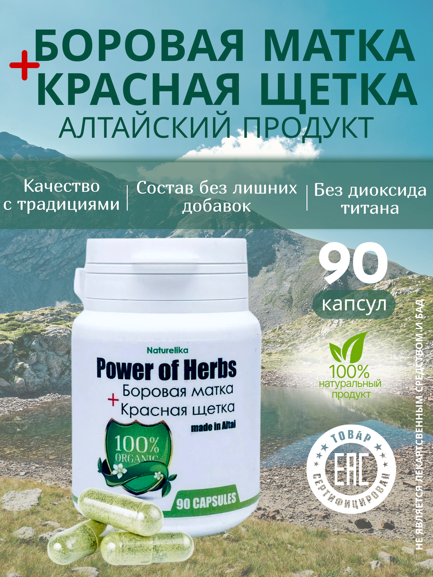 Боровая матка и Красная щетка