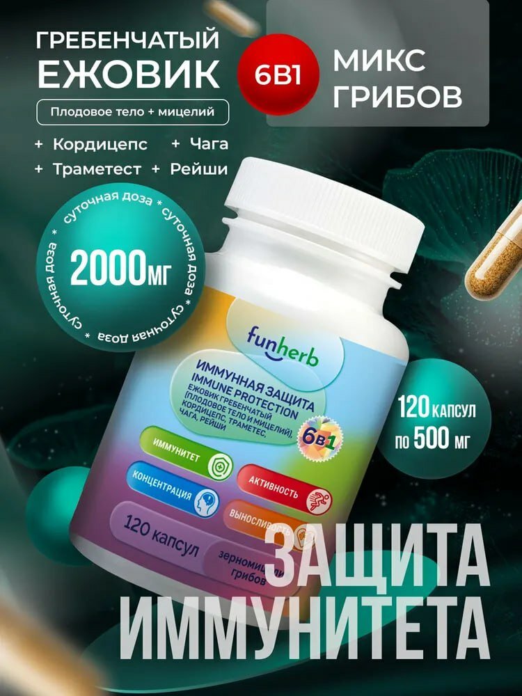 Иммунный микс из грибов Ежовик гребенчатый, кордицепс. чага, рейши, траметес — фото 1
