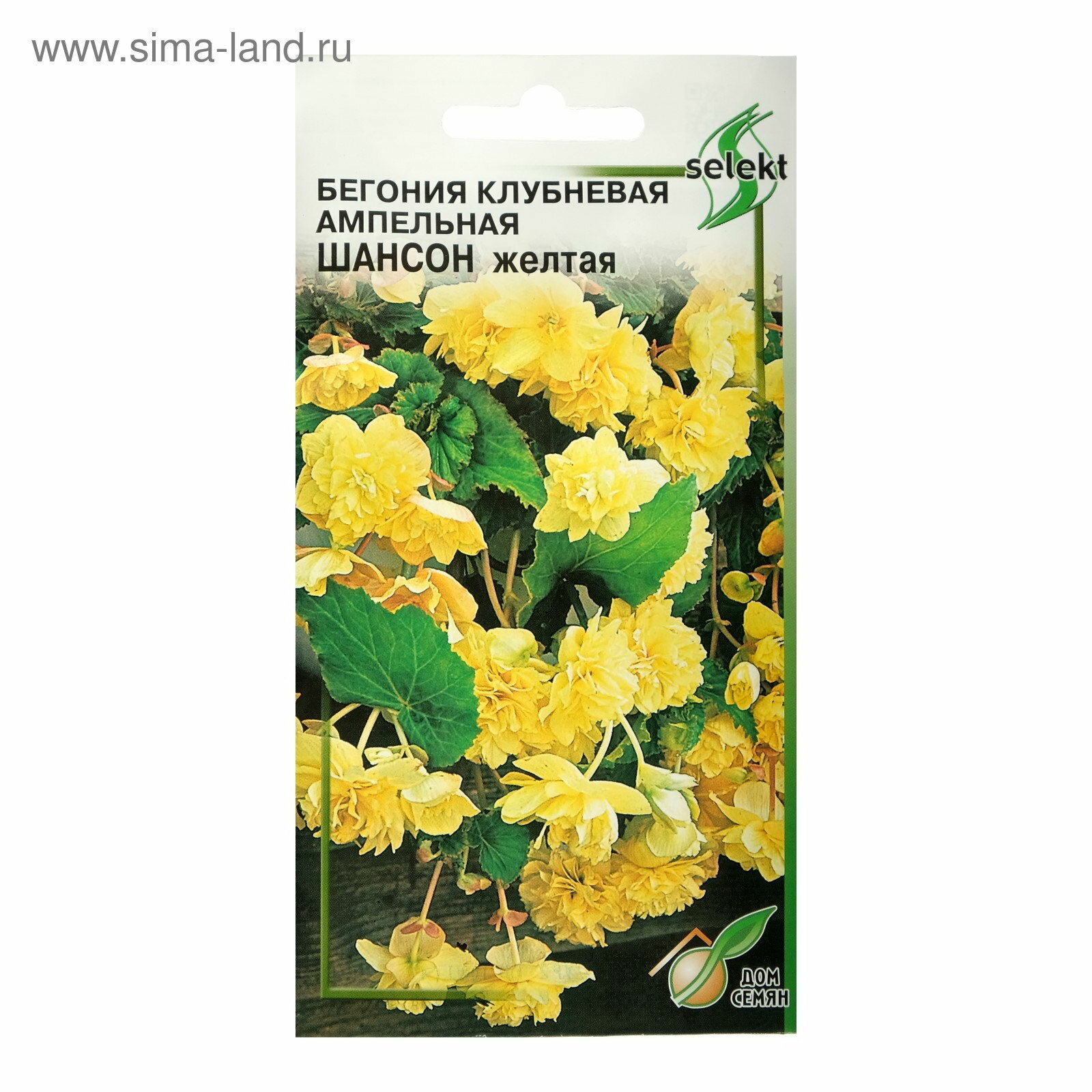 Семена цветов Бегония ампельная 