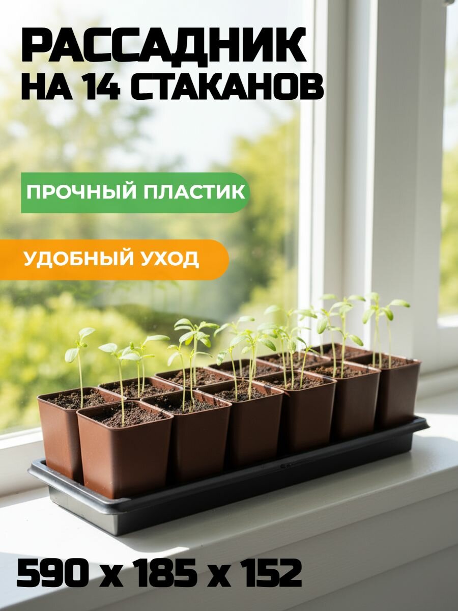 Рассадник на 14 стаканов 590*185*152