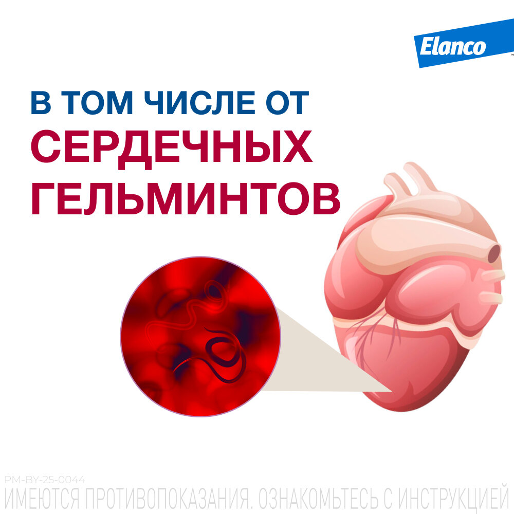 Мильбемакс (Elanco), таблетки от гельминтов для крупных собак – 2 таблетки — фото 1