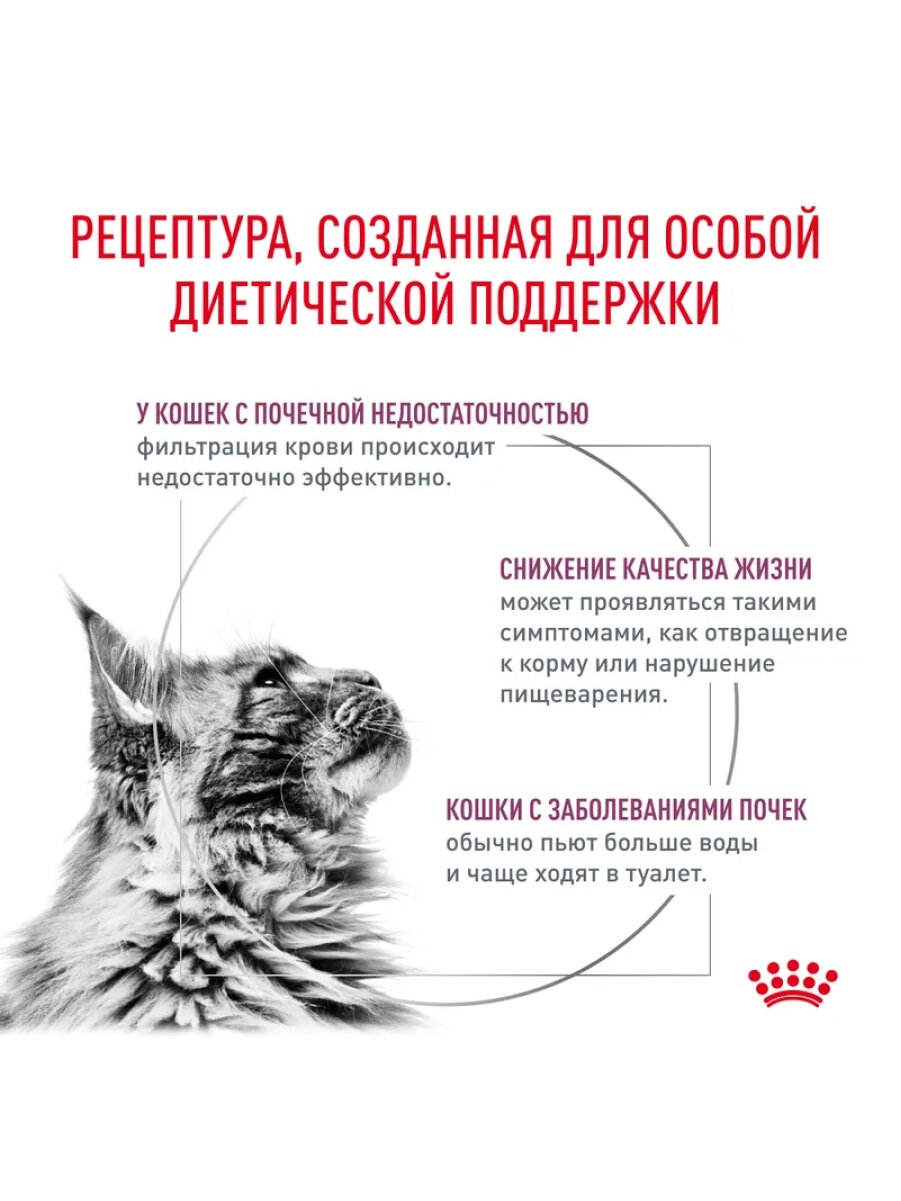 Влажный корм Royal Canin Renal для кошек при хронической почечной недостаточности (кусочки в соусе) с рыбой, 85 г х 28 шт. — фото 1