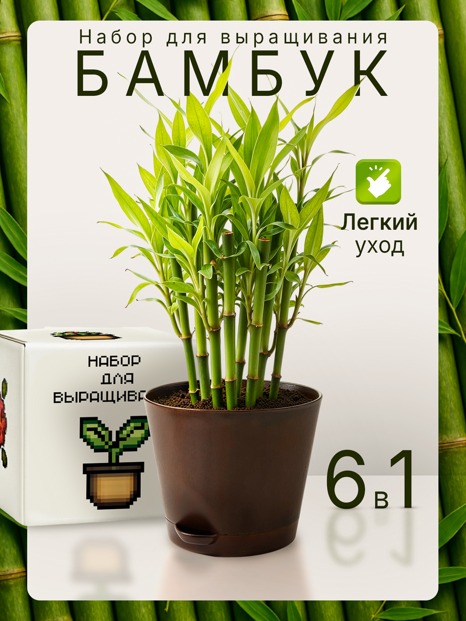 Набор для выращивания растений Бамбук