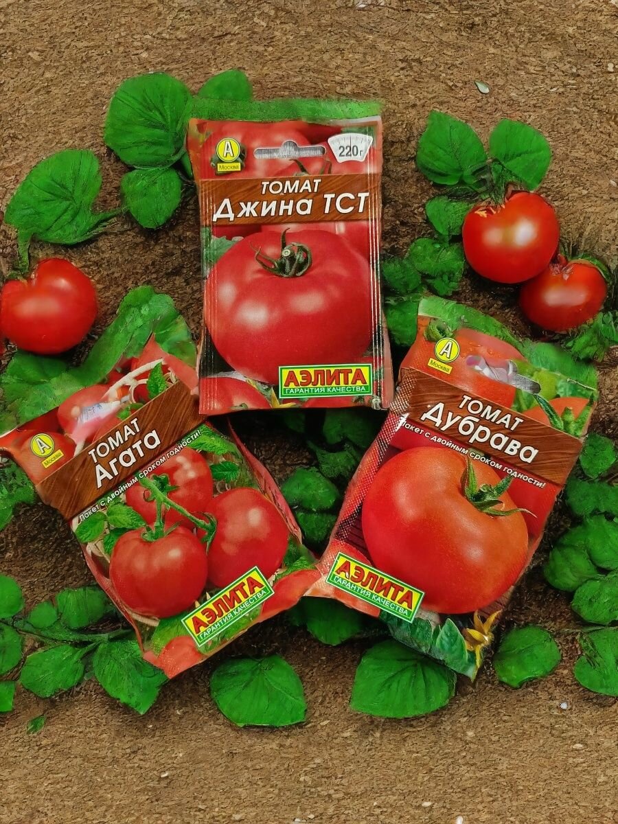 Набор семян низкорослых томатов   Джина   Агата   Дубрава   Агрофирмы Аэлита по 1 пакету
