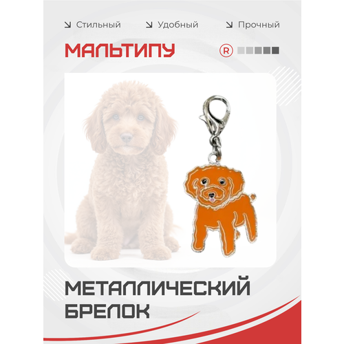 фото Брелок remove, рыжий